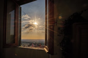 Ein Fenster mit einfallendem Sonnenlicht, Blick zum Himmel und eine Pflanze rechts.