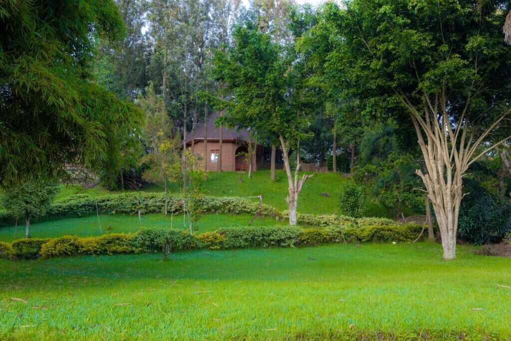 A lush garden with a small building, surrounded by well-maintained hedges and trees.