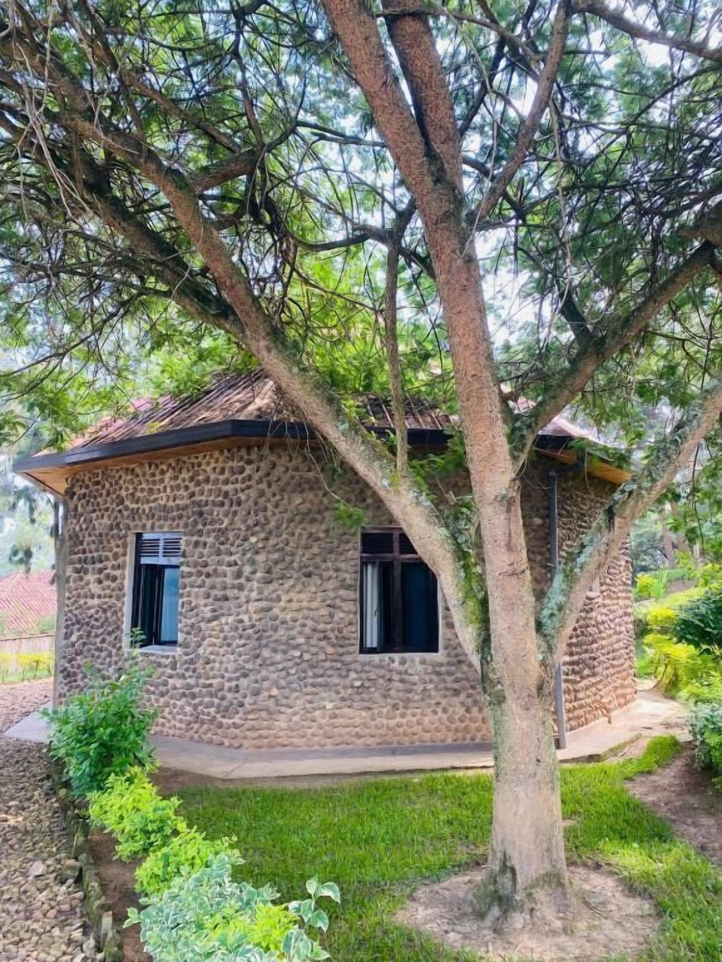 A stone building with a tree in front, windows, and a grassy area.