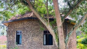 A stone building with a tree in front, windows, and a grassy area.