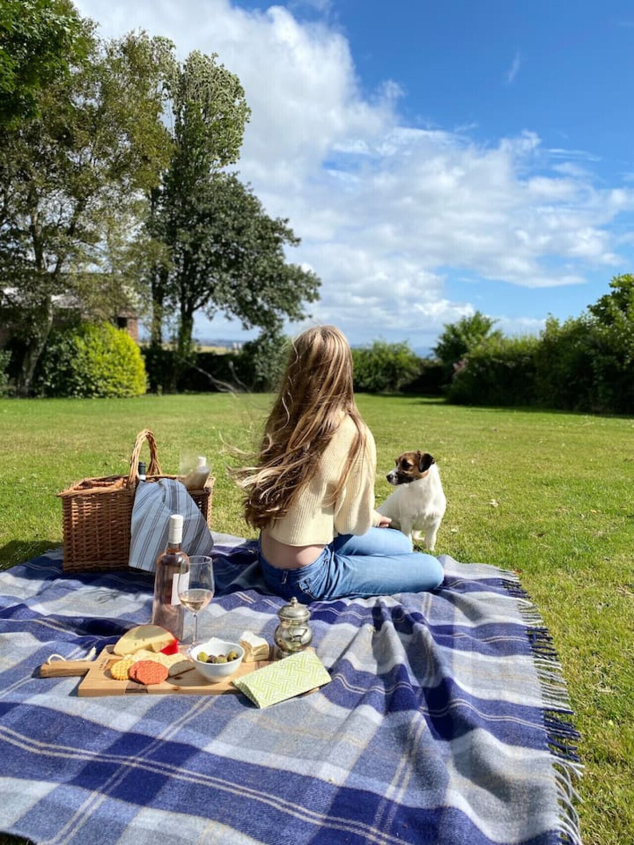 Una persona sentada sobre una manta en un área con césped, con un perro, una preparación para picnic que incluye una cesta, botellas y comida.