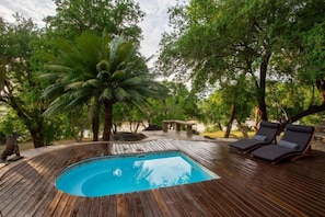A wooden deck with a pool, lounge chairs, and a palm tree. - Parsons River Camp (Hoedspruit)