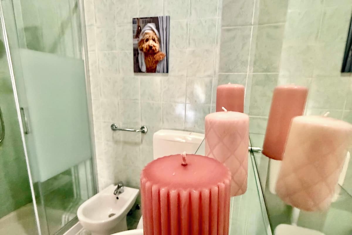 Ducha, artículos de tocador gratuitos, secador de pelo, toallas