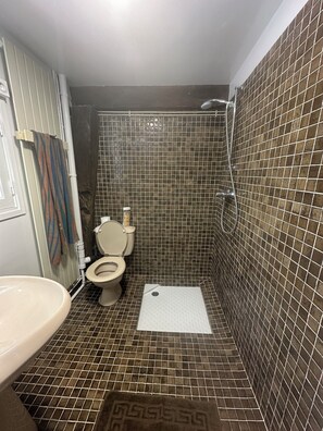 Shower, hair dryer, bidet, towels