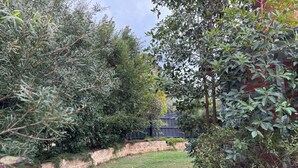 Caminho de jardim cercado por folhagem densa e um muro de tijolos.