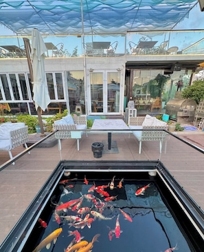 A koi pond with a glass enclosure, outdoor seating, and a covered patio area.