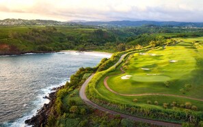 A coastal golf course with a winding path, a sandy beach, and a view of distant hills. - Historic Hilo Plantation Oasis w/ Tropical Gardens (Hilo)