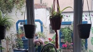 A kitchen with a sink, hanging plants, and a window with a view of a garden. - House Sleeps 6 With Wifi (Belfast)