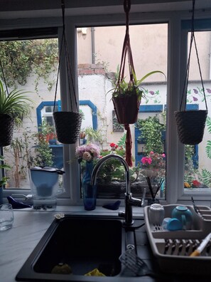 Een keuken met een spoelbak, hangplanten en een raam met uitzicht op een tuin.