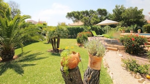 A well-maintained garden with a lawn, palm trees, and various potted plants. - Villa- Calypso in J vea (Javea)