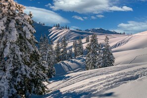 Un paysage enneigé, avec des arbres et une montagne en arrière-plan.