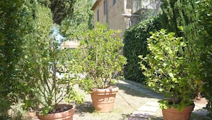 A garden pathway with potted plants, a stone building, and a hedge in the background. - Oliveta Pettirosso in Gavignano (Poggibonsi)