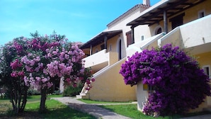 Un edificio con fachada amarilla, un corredor cubierto y árboles en flor.