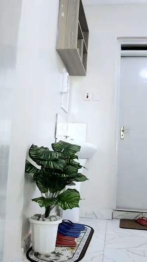 Ein Flur mit einem Blumentopf, einer weißen Tür und einem Schuhregal.