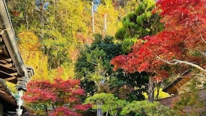 Un jardín japonés tradicional con un estanque, rocas y diversos árboles.