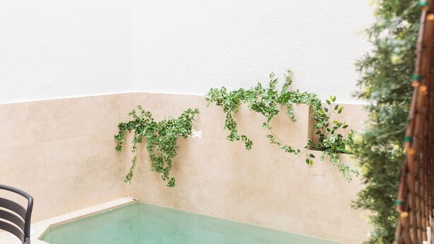 A small outdoor pool area with steps leading into it, a chair, and greenery on the walls. - LODGING IN TORRIJOS TOLEDO ALOJAMIENTO TURISTICO DON PEDRO TOLEDO (Torrijos)