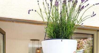 7BR Luxury Chalet near Interlaken • AC • 18 guests by SwissDreamLiving