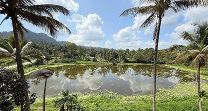 Gorgeous 6-bedroom apartment in delightful Kalpetta North perfect for groups