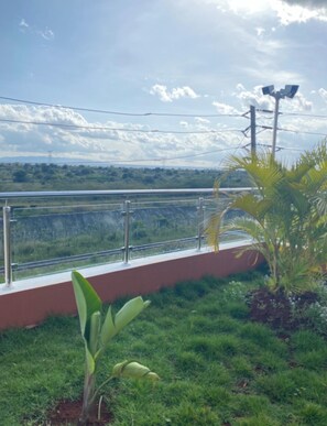 Ein Balkon mit Metallgeländer, einer kleinen Zimmerpalme und Blick auf eine grüne Landschaft mit weit entfernten Hügeln.