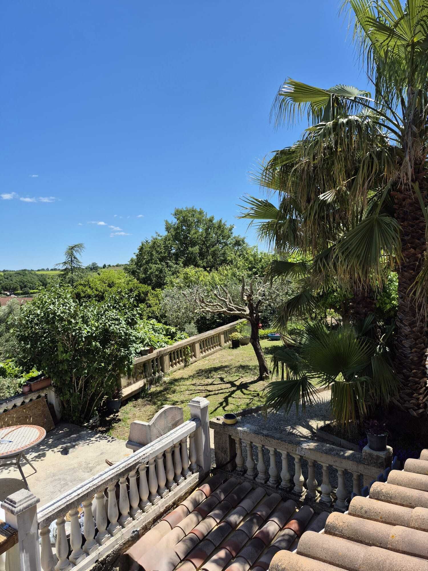 A terrace with a stone balustrade, a palm tree, and a view of a lush garden.