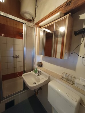 Et badeværelse med bruser, vask, toilet og et spejl over vasken.