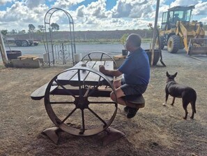 A person sitting at a table with a large wheel, a dog nearby, and construction equipment in the background. - Kookaburra Retreat by Tiny Away (Arcadia)