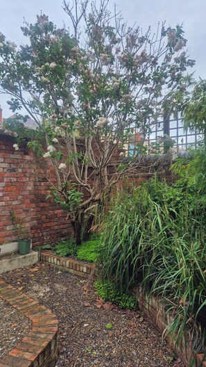 Un jardín con un árbol, un muro de ladrillo y algo de vegetación.