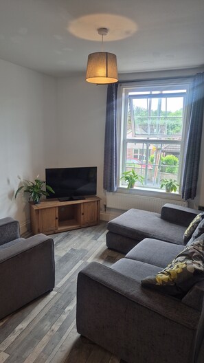 A living room with a flat-screen TV on a wooden stand, a grey sofa, a patterned throw pillow, a hanging lamp, and a window with curtains. - Cool, Calm Georgian Apartment base in Shrewsbury -pet friendly (Shrewsbury)