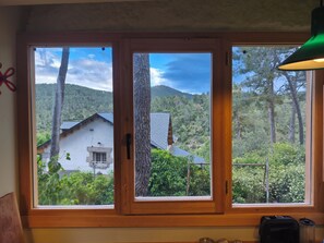 Ein Fenster mit Blick auf ein Haus und die umliegenden Bäume.