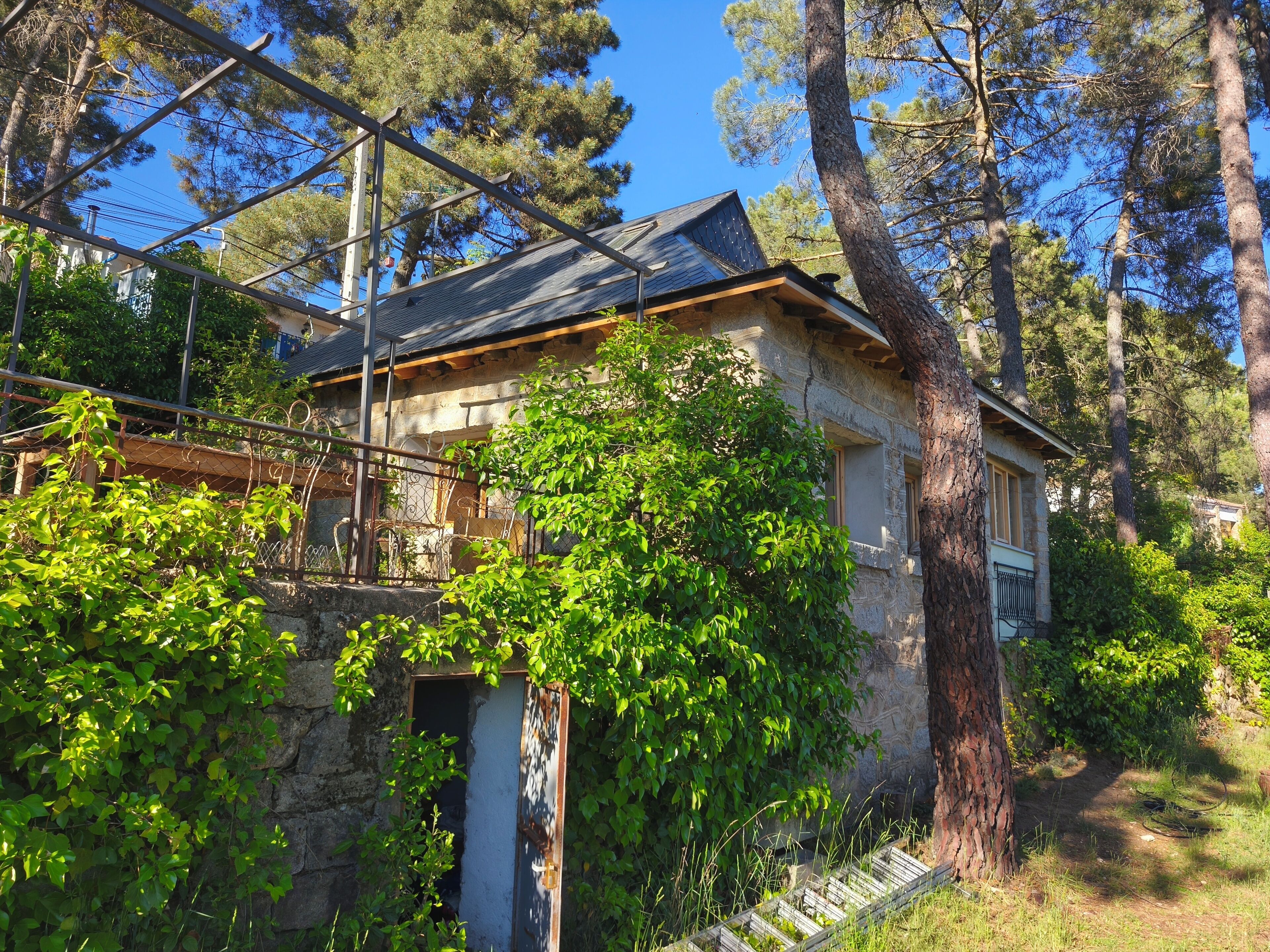 A stone house with a metal roof, surrounded by trees and greenery.