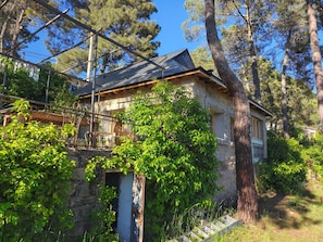 Ein Steinhaus mit Metallbedachung, umgeben von Bäumen und Grün.