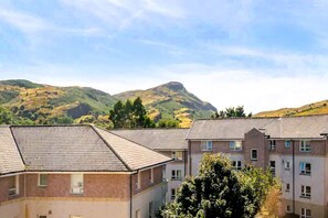 Un quartier résidentiel avec de nombreuses maisons à deux étages, un ciel dégagé et une montagne en arrière-plan.