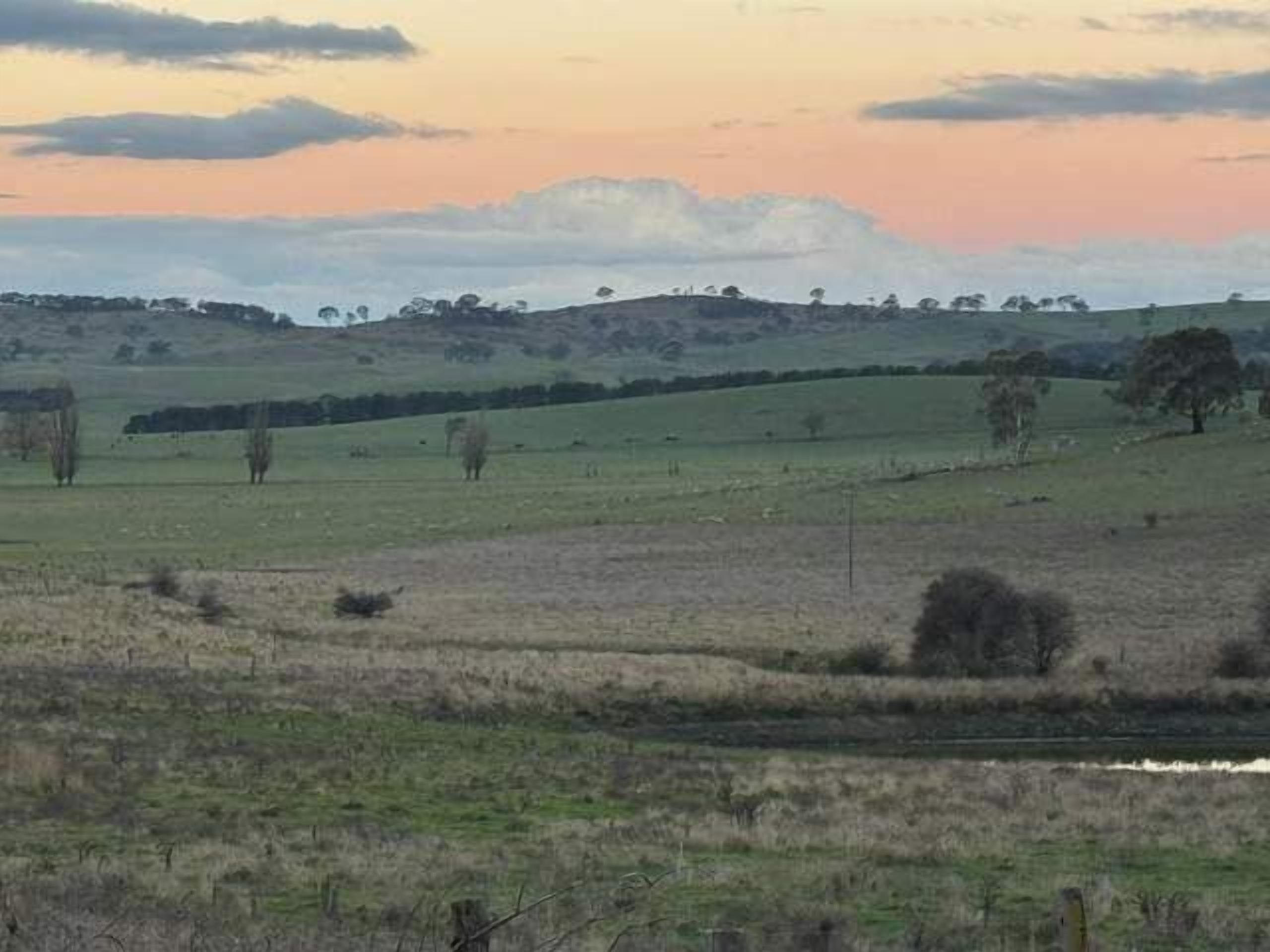 A rural landscape with rolling hills, sparse trees, and a small body of water.