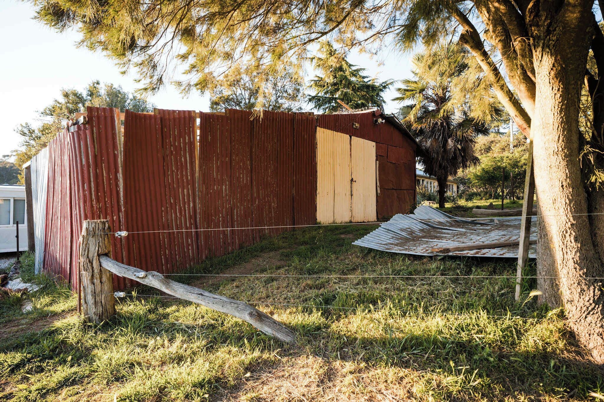 Un cobertizo de metal ondulado con una puerta entreabierta, rodeado de césped y árboles.