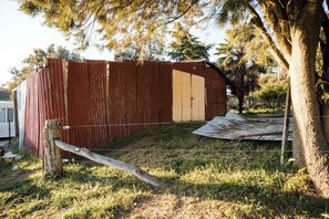 A corrugated metal shed with a partially open door, surrounded by grass and trees.