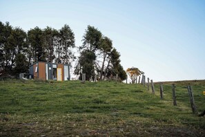 Una moderna baita con rivestimento in legno e una porta in vetro, immersa in un prato erboso e alberato.