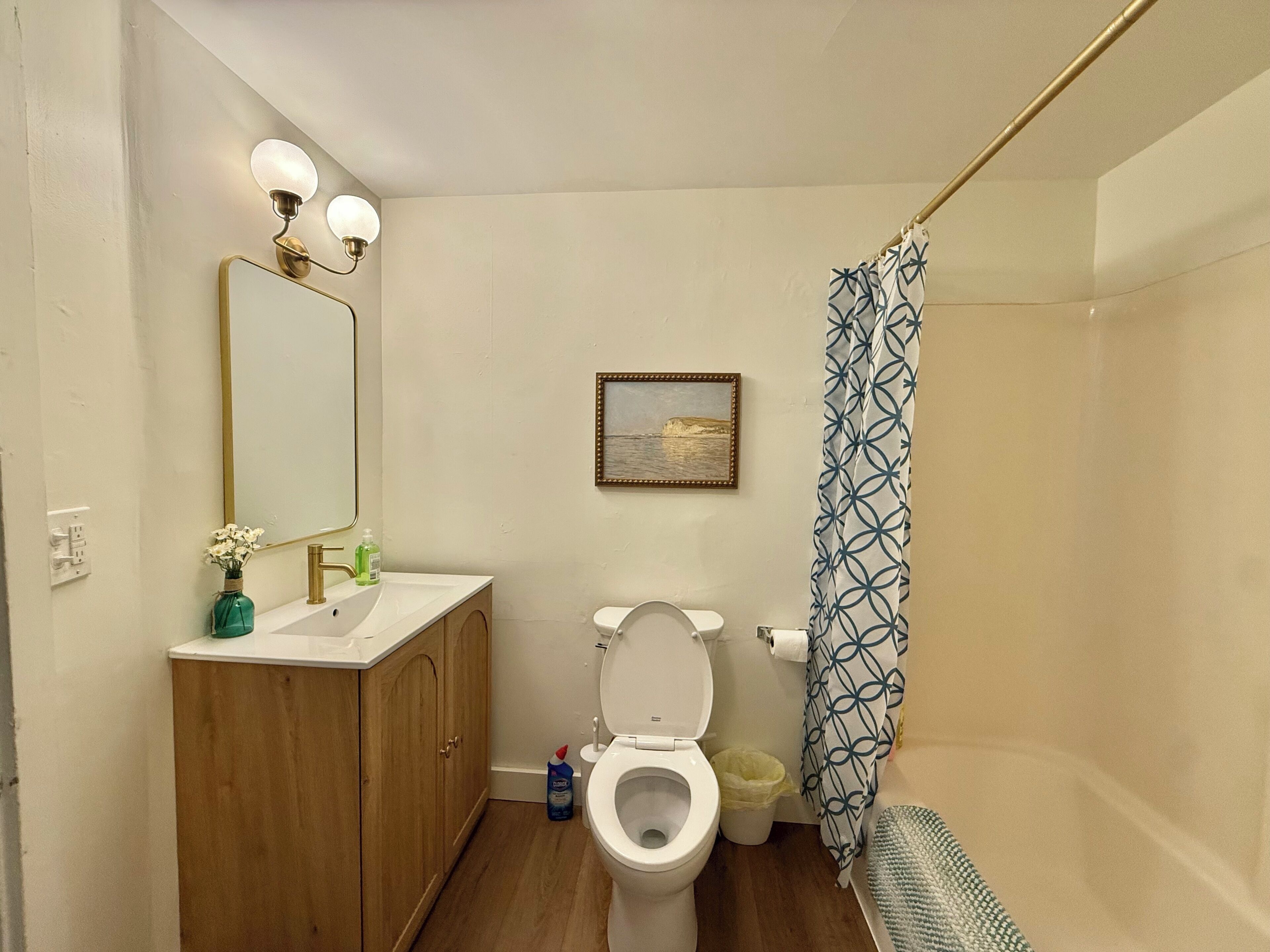 Hair dryer, towels, soap, toilet paper
