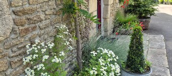 Holiday Home - Le Moulin Bernard - Béganne - Pool