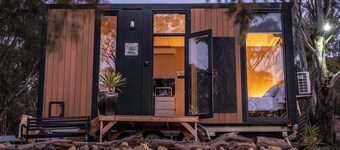 Black Snake Sky Box by Tiny Away