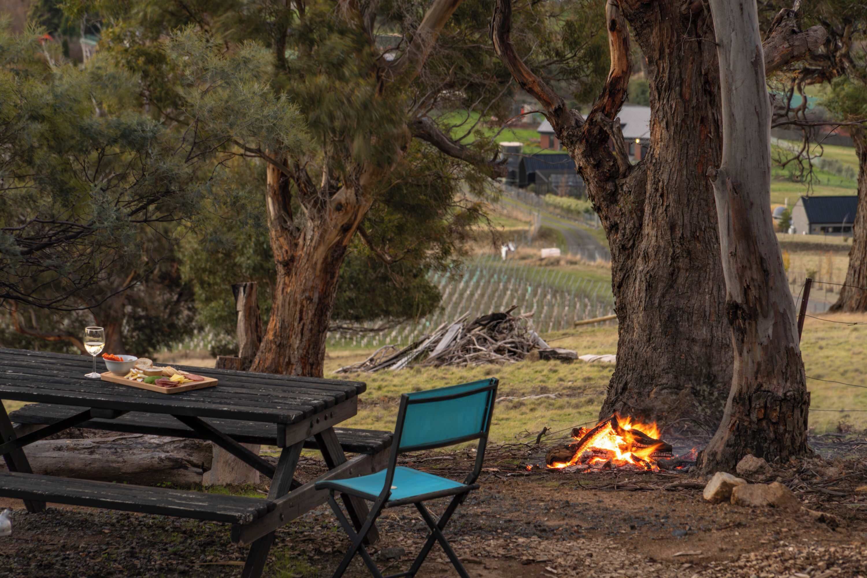 A picnic table with a chair, a fire, and trees in the background.