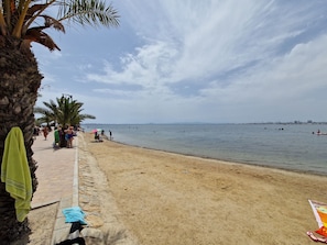 Ein Strand mit Palmen, sandigem Ufer und ruhiger See.