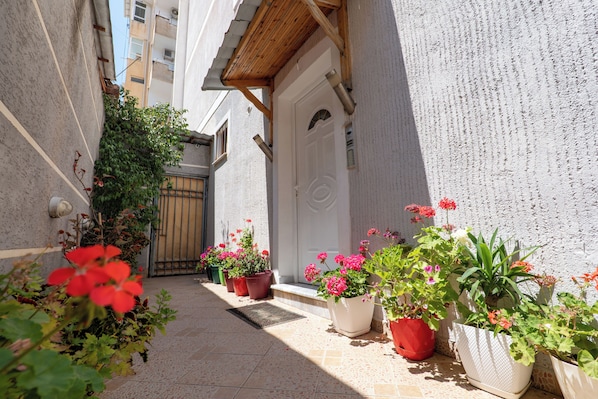 A narrow alley with potted plants and a door.