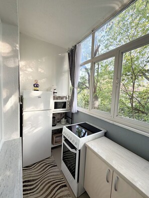 Eine kleine Küche mit Mikrowelle, Herd und Backofen. Ein Fenster bietet Blick auf Bäume.