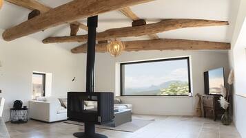 Televisión y chimenea
