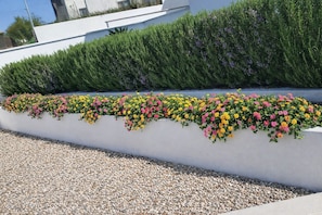 A white wall with a row of colorful flowers and a neatly trimmed hedge. - Villa Solaria Córdoba (Guadalcázar)