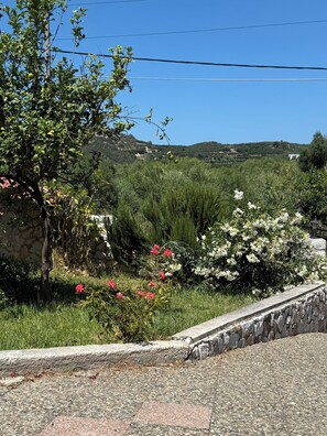 A garden with a stone wall, flowering plants, and a clear blue sky. - Friendly  cozy villa with full luxurious amenities for family and friends. (Vryses, chania, kriti)