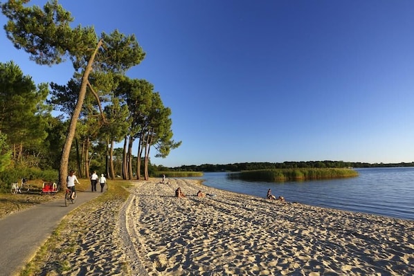 Hiekkainen ranta, jolla on polku, puita ja tyyni järvi.