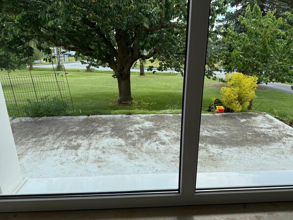 Blick aus dem Fenster auf eine Beton-Terrasse mit Baum und gelben Büschen.