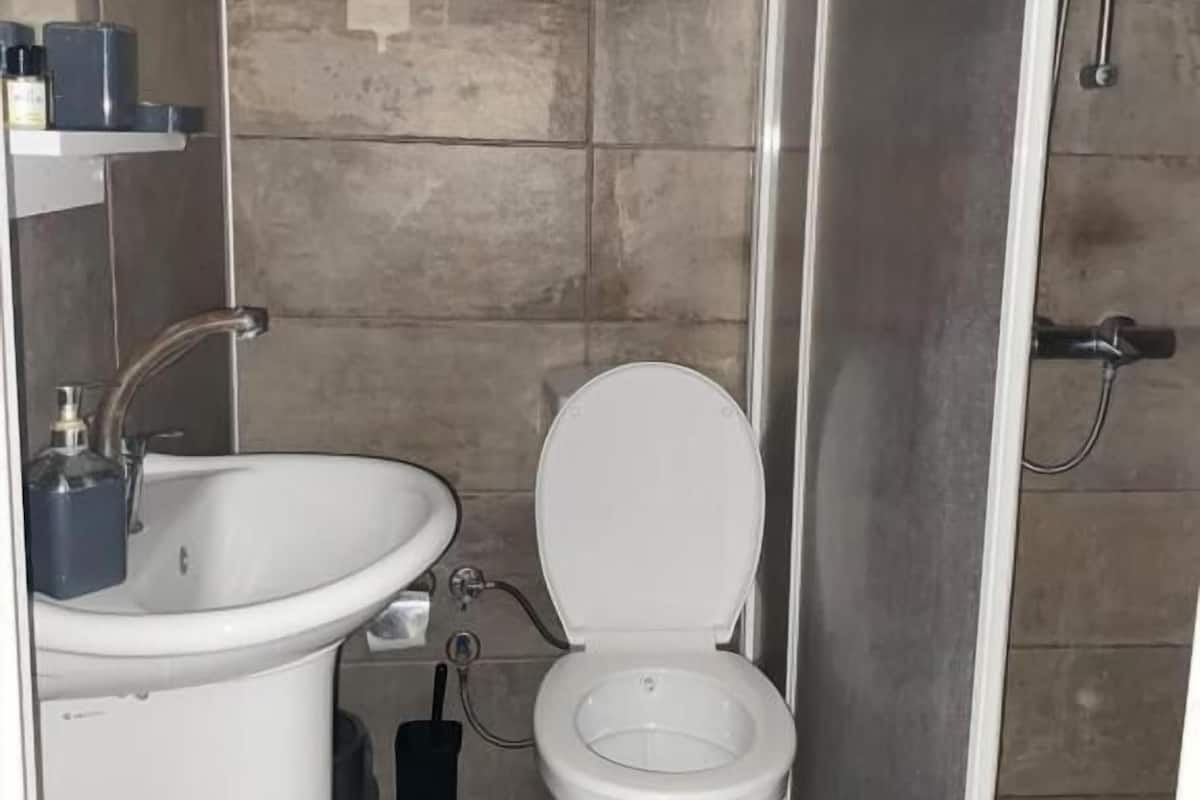 A bathroom with a toilet, sink, and shower enclosure.