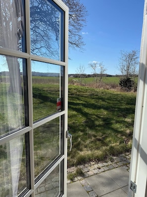 A view through a window with a door, a grassy field, and trees in the background.